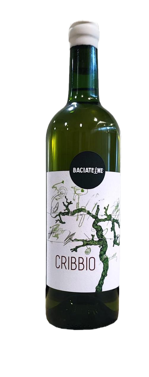 SOCIETA' AGRICOLA BACIATE ME SOCIETA' SEMPLICE DI BATTAGLINI TOMM — foto 8